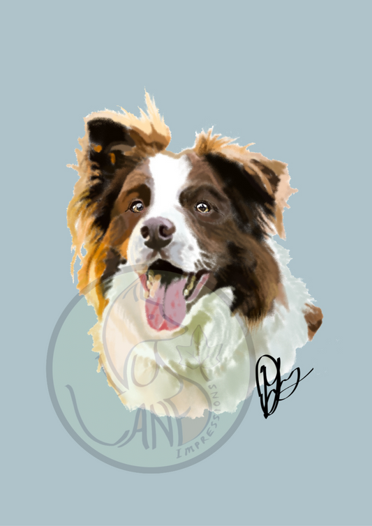 Loyal Collie Print