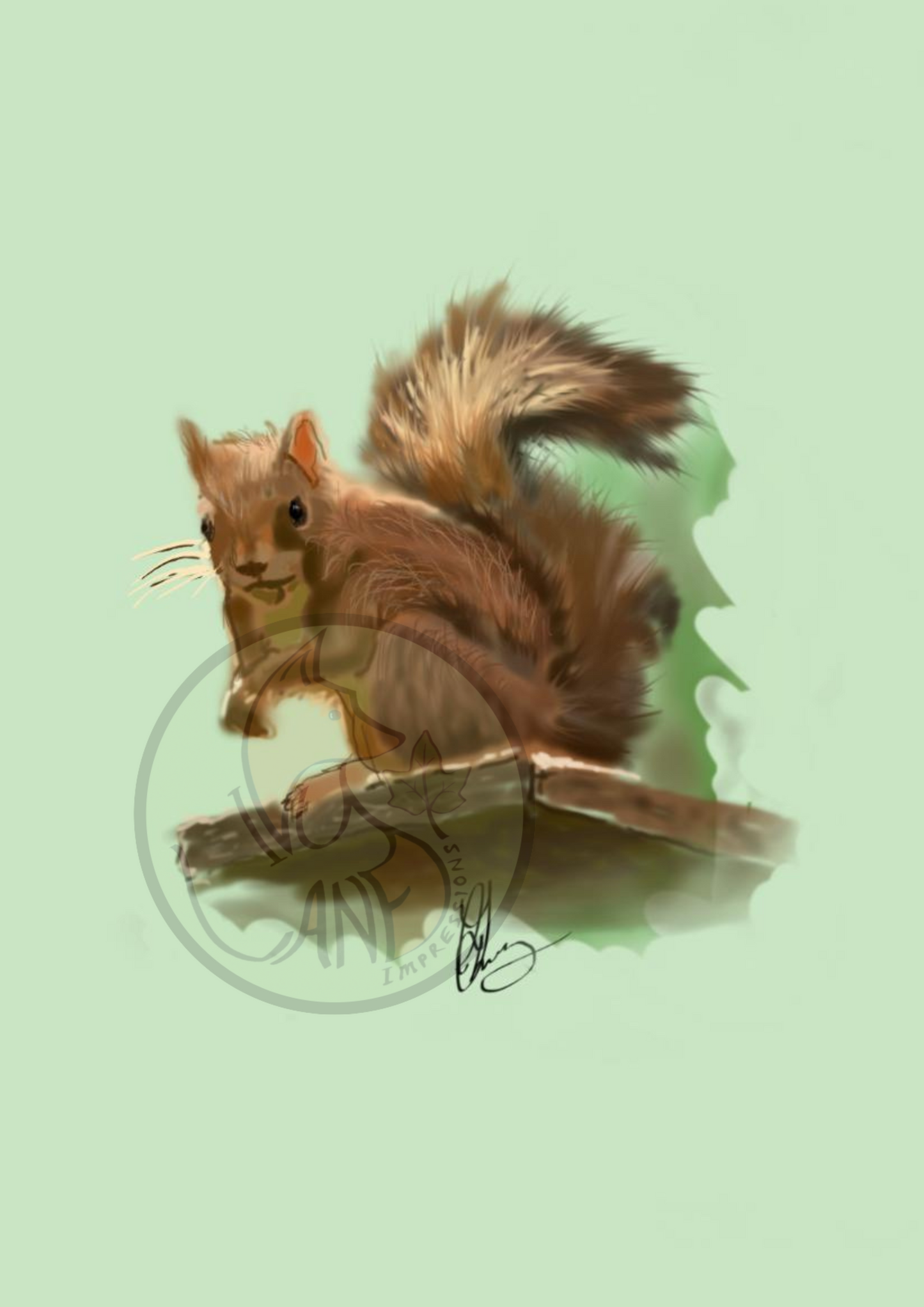 Inquisitive Squirrel Print