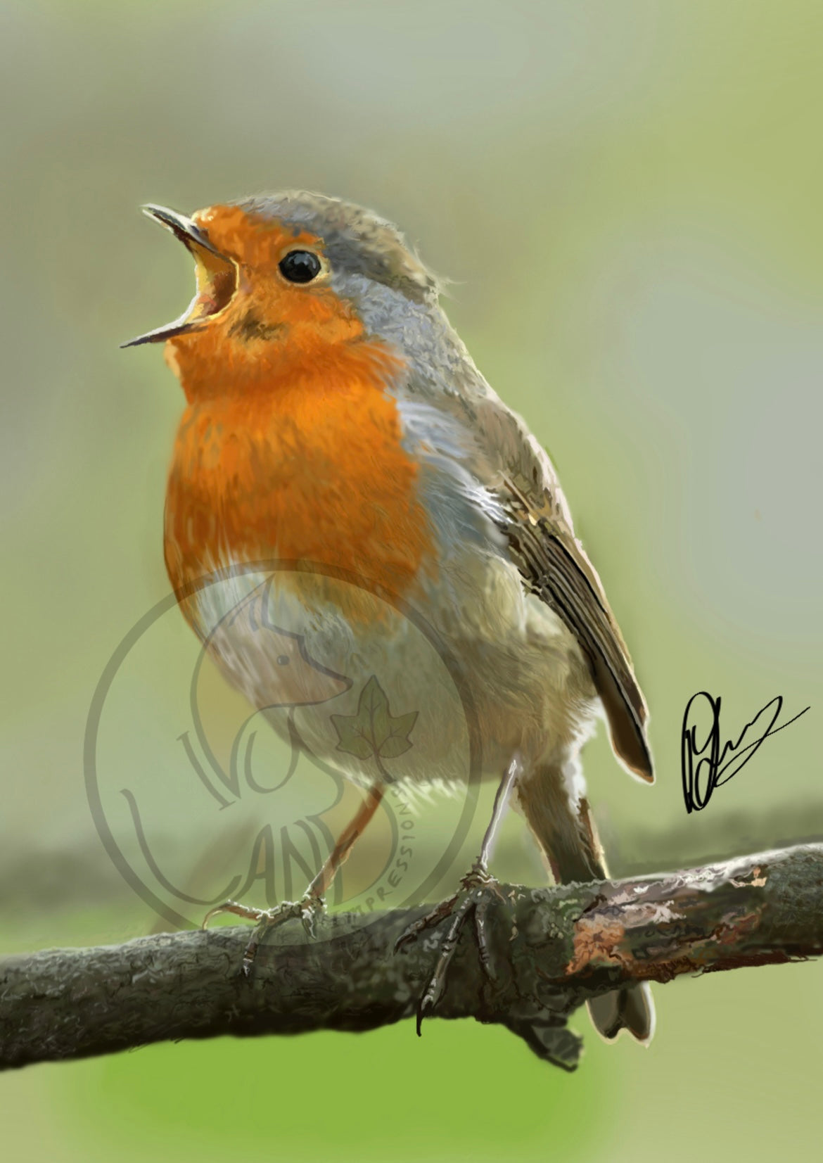 Chirping Robin Print
