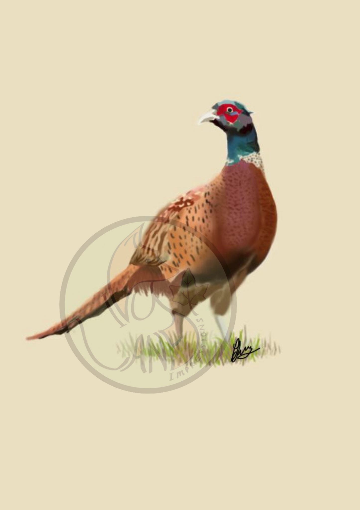 Dawn Pheasant Print